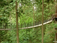 17528CrLe - Capilano Suspension Bridge, Vancouver  Peter Rhebergen - Each New Day a Miracle